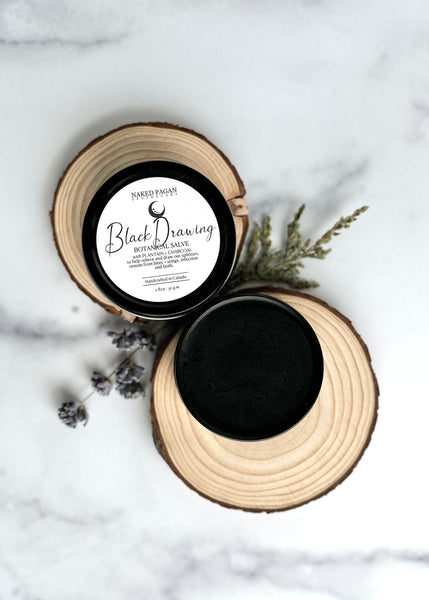 Black Drawing Botanical Salve