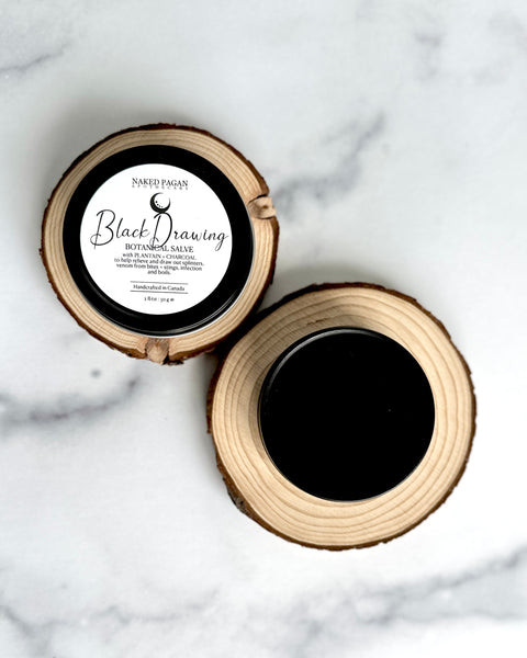 Black Drawing Botanical Salve