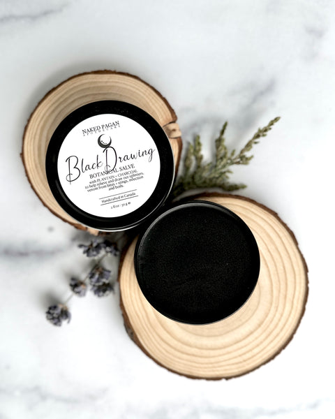 Black Drawing Botanical Salve