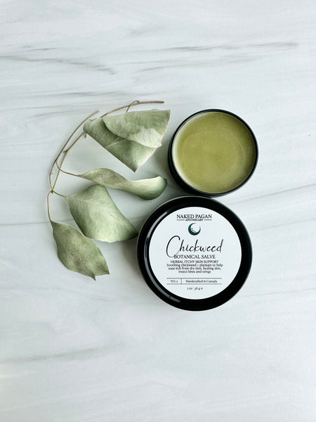 Chickweed Botanical Salve